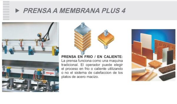 Prensa a Membrana MARZICA PLUS 4 - Imagen 2